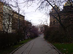 IMGP3694.jpg