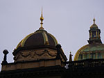 IMGP3696.jpg