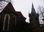IMGP3714.jpg