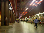 IMGP3725.jpg