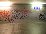 IMGP3727.jpg
