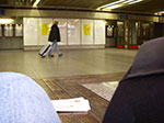 IMGP3728.jpg