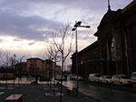 IMGP3747.jpg
