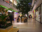 IMGP3772.jpg