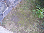 IMGP3910.jpg