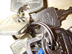 IMGP4047.jpg