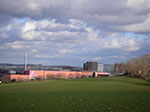 IMGP4131.jpg
