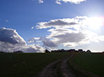 IMGP4142.jpg