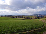 IMGP4143.jpg