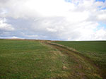 IMGP4147.jpg