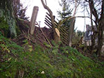 IMGP4153.jpg