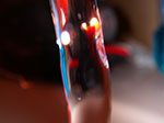 IMGP4172.jpg