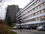 IMGP4209.jpg