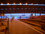 IMGP4218.jpg