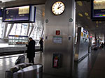 IMGP4239.jpg