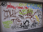 IMGP4308.jpg
