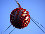IMGP4311.jpg