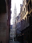 IMGP4312.jpg