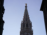 IMGP4313.jpg