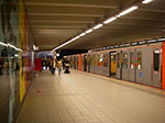 IMGP4360.jpg