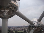 IMGP4412.jpg