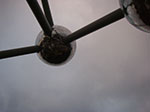 IMGP4427.jpg