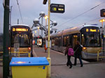 IMGP4448.jpg