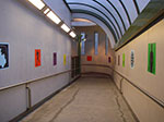 IMGP4449.jpg