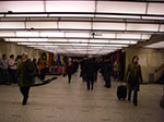 IMGP4450.jpg