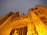 IMGP4458.jpg