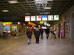 IMGP4517.jpg