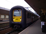 IMGP4519.jpg