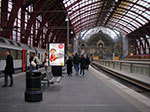IMGP4524.jpg