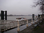 IMGP4577.jpg