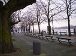 IMGP4580.jpg