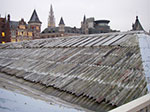 IMGP4590.jpg