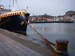 IMGP4594.jpg