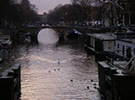 IMGP4703.jpg