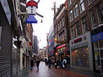 IMGP4817.jpg