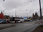 IMGP4818.jpg