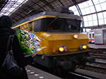 IMGP4820.jpg