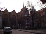 IMGP4841.jpg