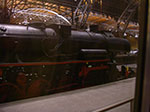 IMGP4854.jpg