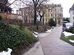 IMGP4859.jpg