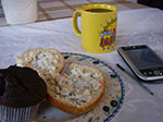 IMGP4967.jpg