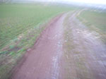 IMGP4971.jpg