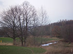 IMGP4985.jpg