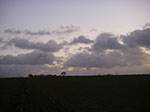 IMGP5001.jpg
