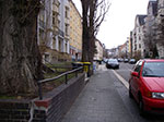 IMGP5103.jpg