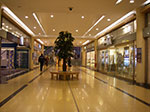 IMGP5116.jpg